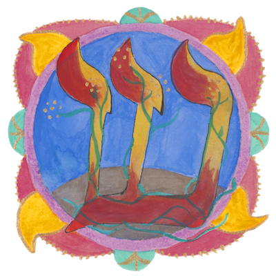Shin – Growth
