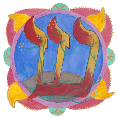 Shin – Growth